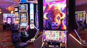 pkrvip Real Dealer Tables Seedha Aapke Screen Par